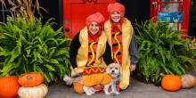 two people and dog in hot dog costumes sit in front of door