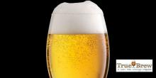 Top of beer glass shown with beer and foam featured